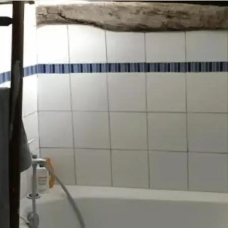 Ratatouille דירה פריז