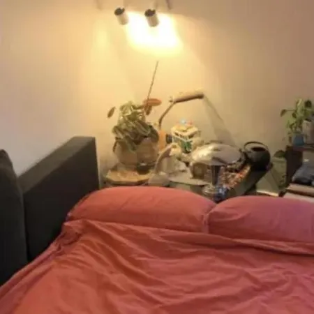 Ratatouille