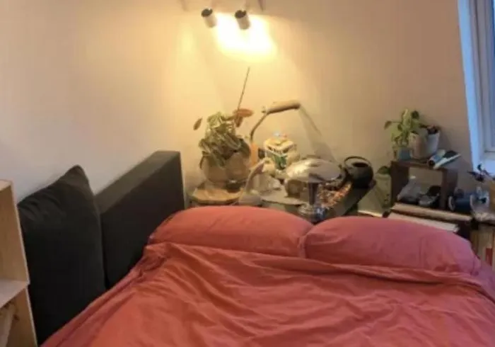 Ratatouille
